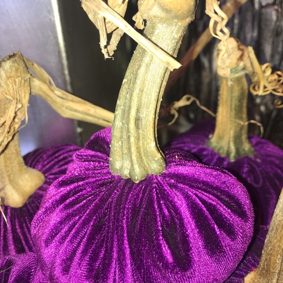 Velvet pumpkins - Picture 4 of 5